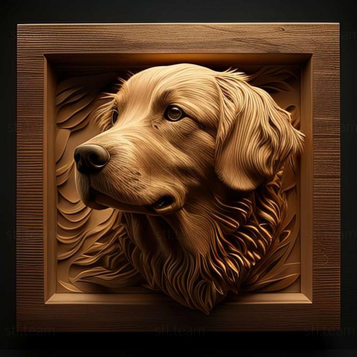 3D модель Золотий ретрівер собака (STL)